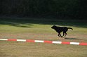 MCE Sommertreffen 2013 - 043